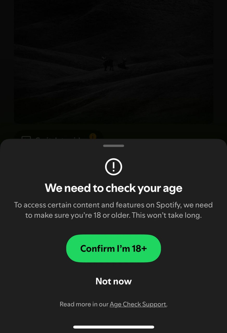Подтверждение возраста в Spotify