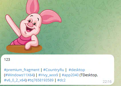 Пример дополнительной информации в Telegram Support